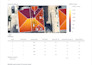 create accurate aurora solar shading reports